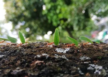 5 Actionable SaaS Marketing for Dummies Frameworks to Accelerate Your Growth