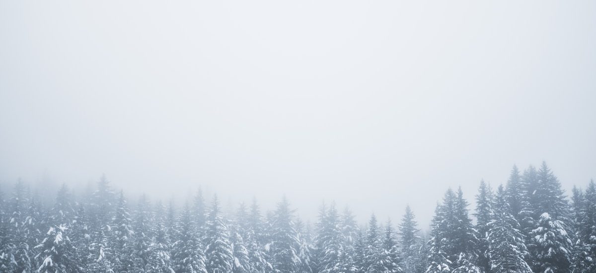 5 Proven Cold Email Templates for SaaS Marketers to Boost Reply Rates