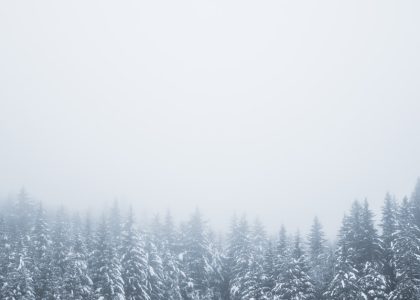 5 Proven Cold Email Templates for SaaS Marketers to Boost Reply Rates