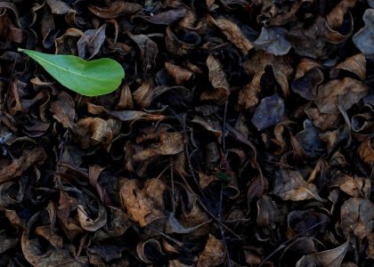 5 Proven SaaS Marketing Lead Nurturing Tactics to Accelerate Your Pipeline