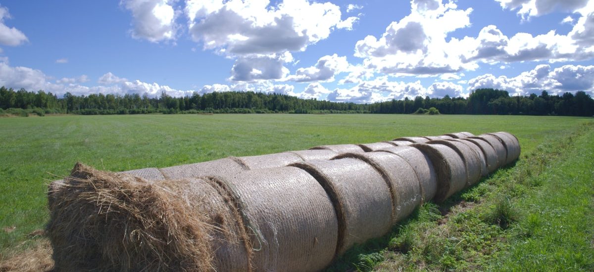 5 SaaS Sales and Marketing Model Tweaks to Boost Your Pipeline and ROI Fast