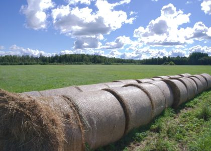 5 SaaS Sales and Marketing Model Tweaks to Boost Your Pipeline and ROI Fast