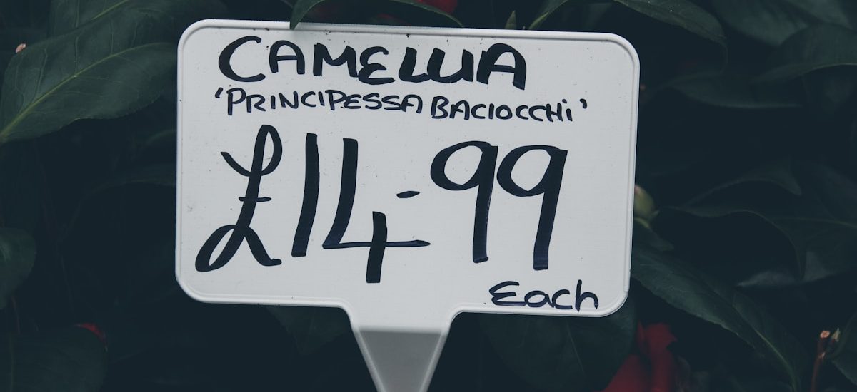 6 SaaS Marketing Budget Template Essentials to Optimize ROI and Prove Impact