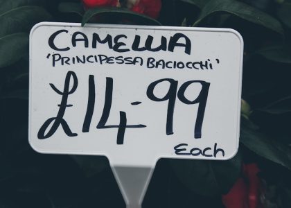 6 SaaS Marketing Budget Template Essentials to Optimize ROI and Prove Impact