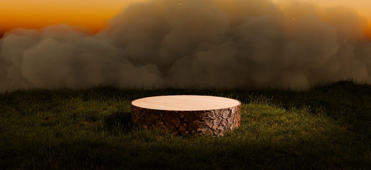 7 Key Differences in Organic Marketing vs Paid Marketing for Your SaaS Growth