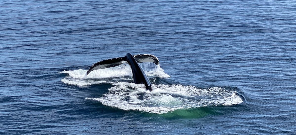 7 SaaS Marketing Onboarding Strategies to Reduce Churn and Prove ROI Fast