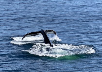 7 SaaS Marketing Onboarding Strategies to Reduce Churn and Prove ROI Fast