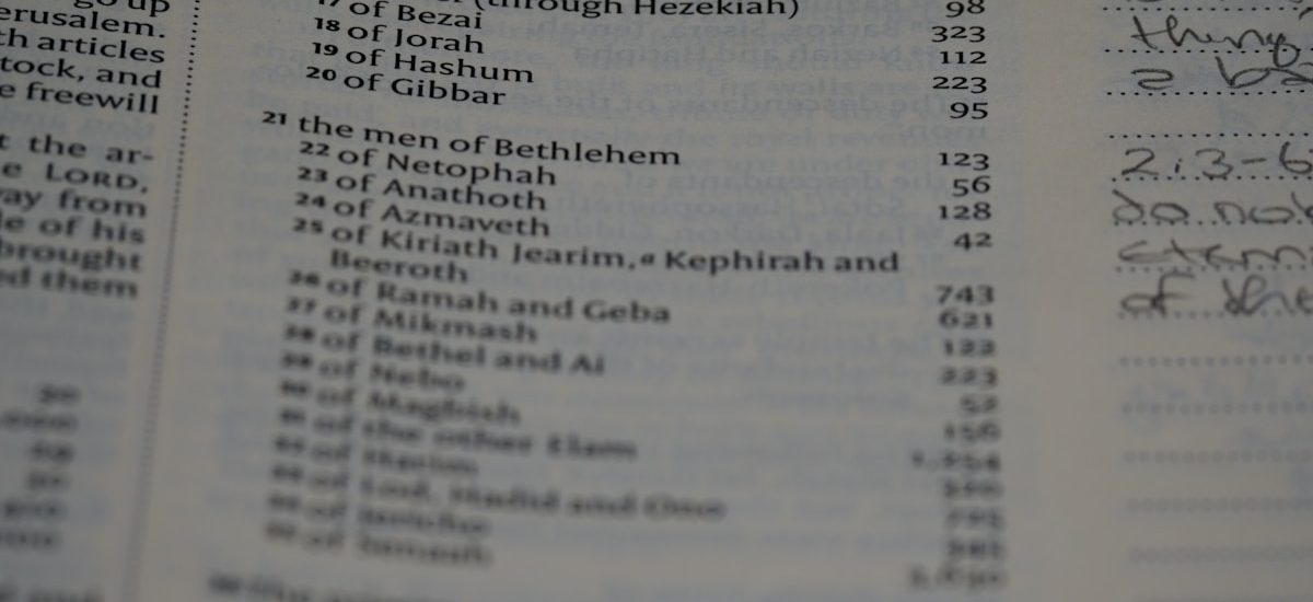 How to Conduct an SEO Audit for Your SaaS: 6 Steps to Boost Growth Fast